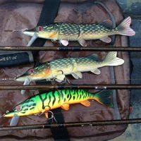 Westin Mike The Pike Crankbaits 14cm/30g